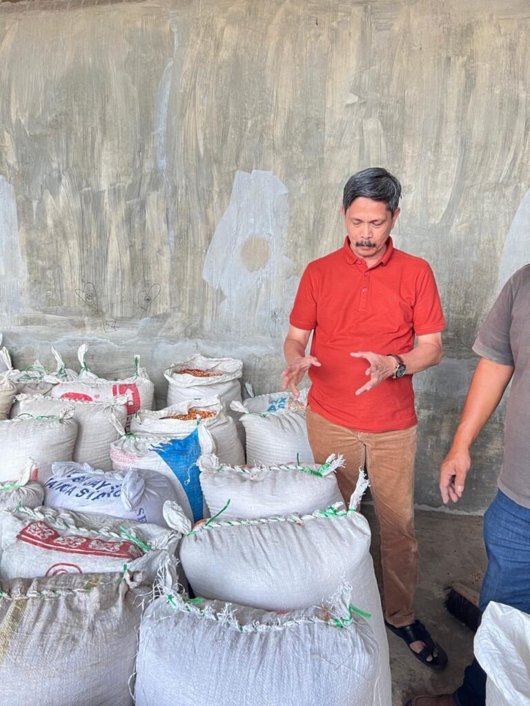Jagung kualitas ekspor2