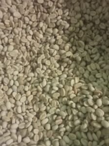 Kopi Arabika & Robusta (green bean)3